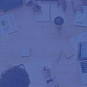 Basic - Medium to Large Business